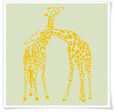 Giraffe / Giraffen